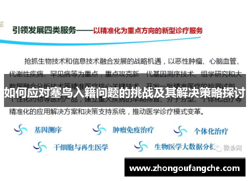 如何应对塞鸟入籍问题的挑战及其解决策略探讨