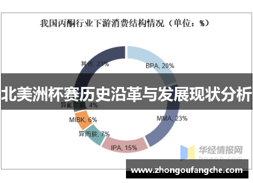 北美洲杯赛历史沿革与发展现状分析